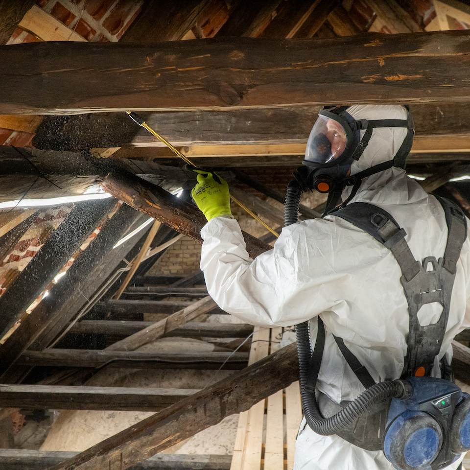 Skadeservice_Insektbehandling_1_960x960