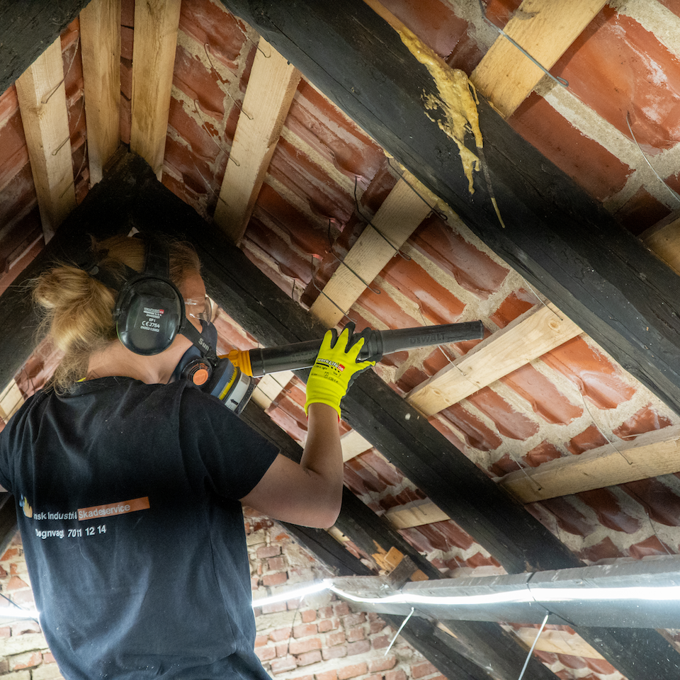Skadeservice_Insektbehandling_2_960x960