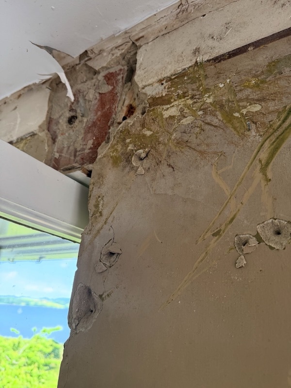 Fungal damage to the patio door
