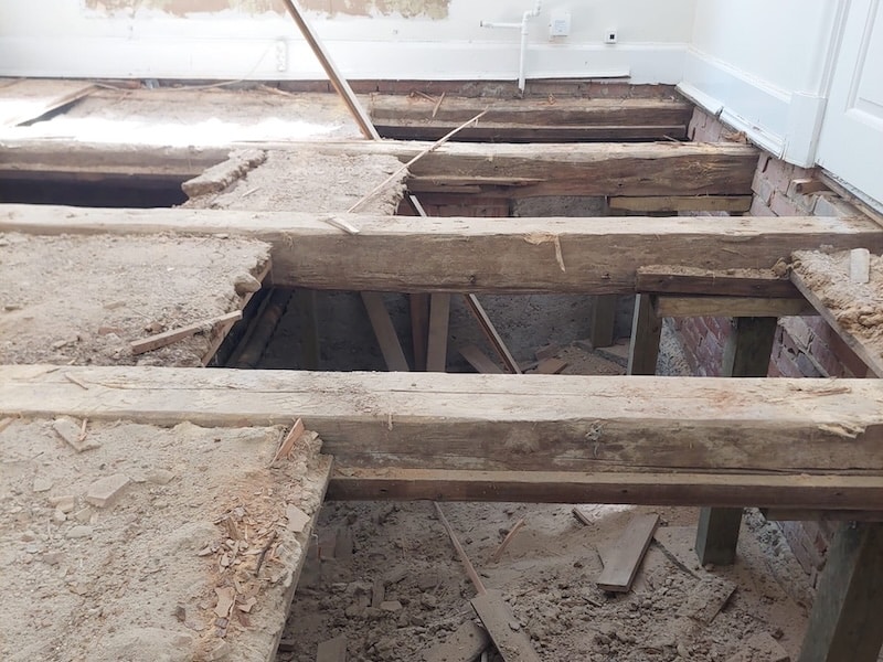 White mold in the joist system