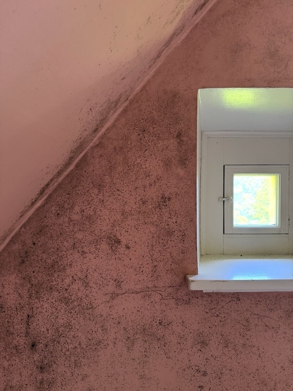 Mildew in the living room
