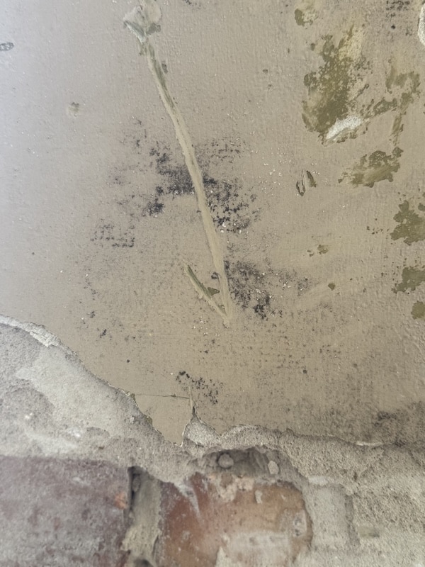 Mould in the roof cavity